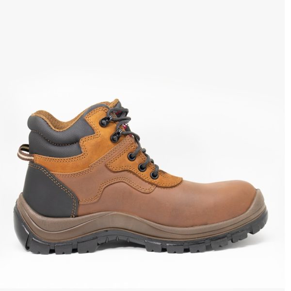 Bota Solver Pro